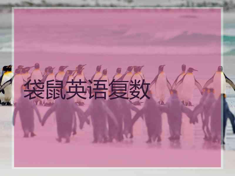 袋鼠英语复数