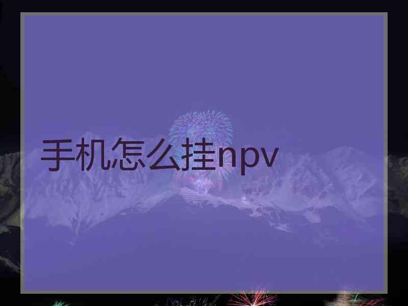 手机怎么挂npv