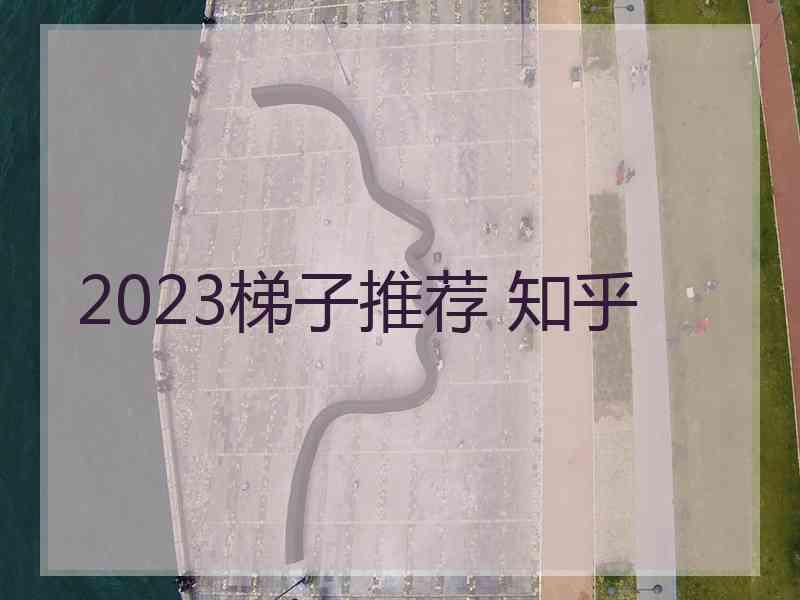 2023梯子推荐 知乎