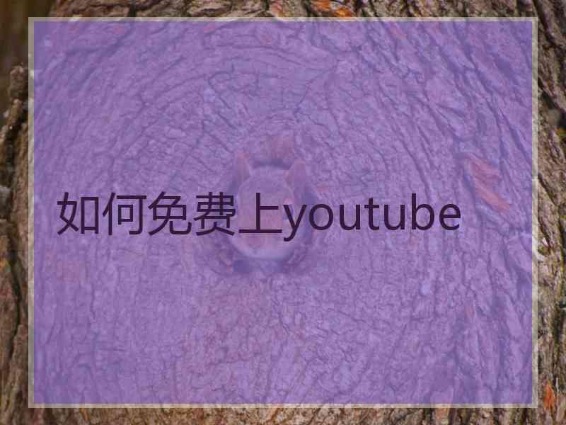 如何免费上youtube
