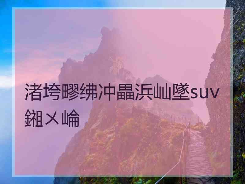 渚垮疁绋冲畾浜屾墜suv鎺ㄨ崘