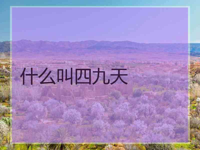 什么叫四九天