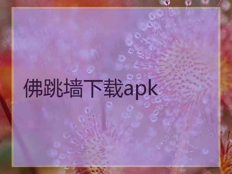 佛跳墙下载apk