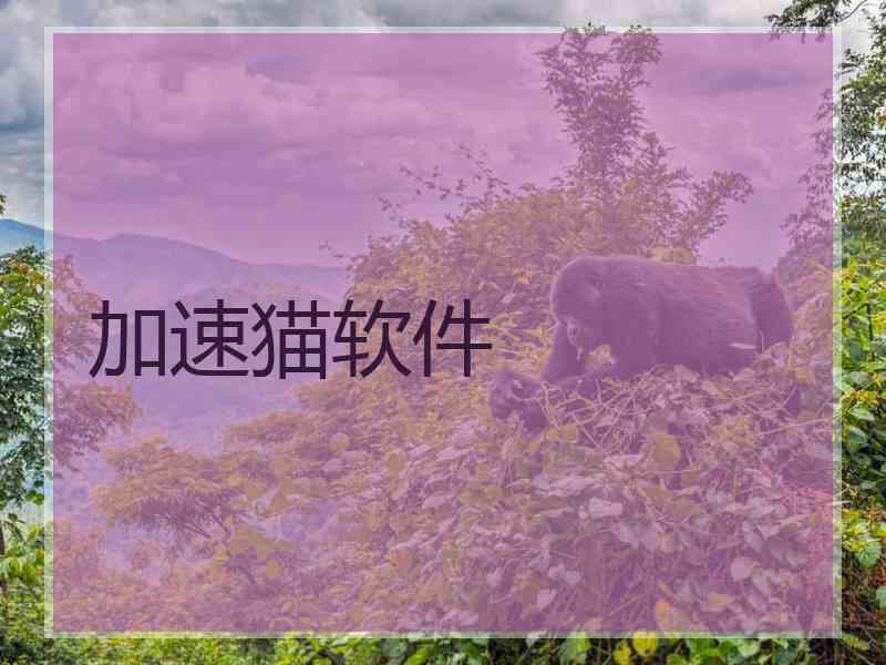 加速猫软件