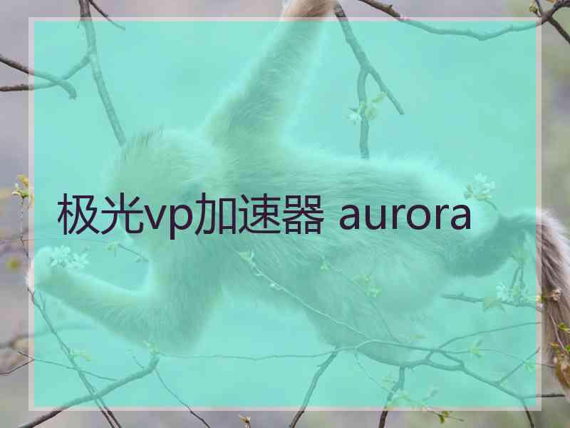 极光vp加速器 aurora