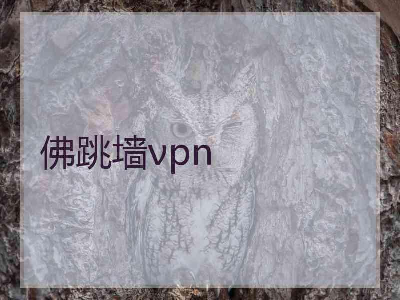 佛跳墙νpn