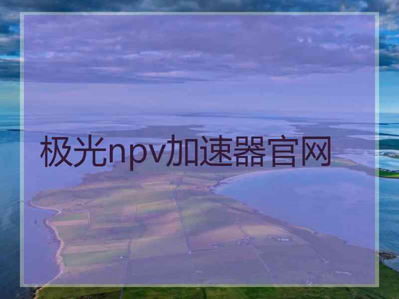 极光npv加速器官网