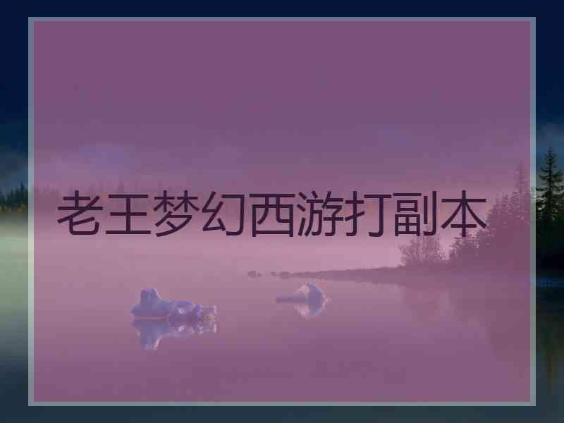 老王梦幻西游打副本