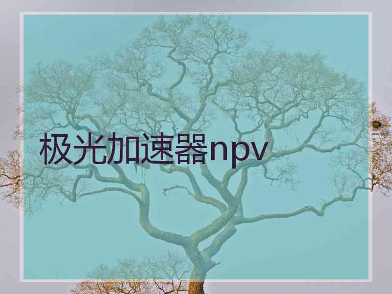 极光加速器npv