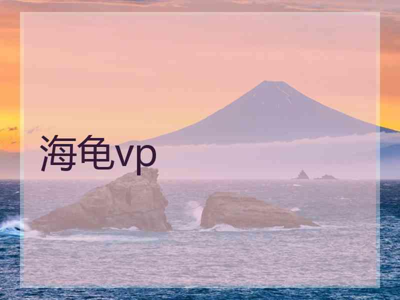 海龟vp