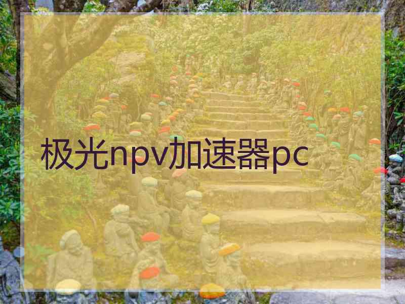 极光npv加速器pc