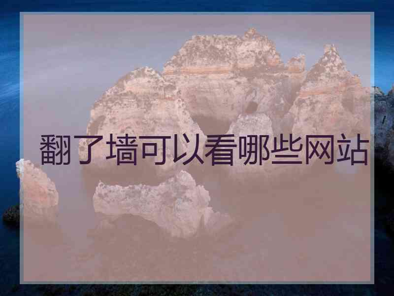 翻了墙可以看哪些网站