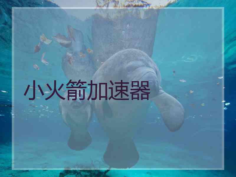 小火箭加速器