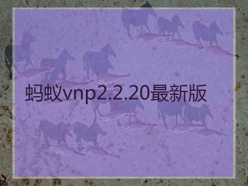 蚂蚁vnp2.2.20最新版