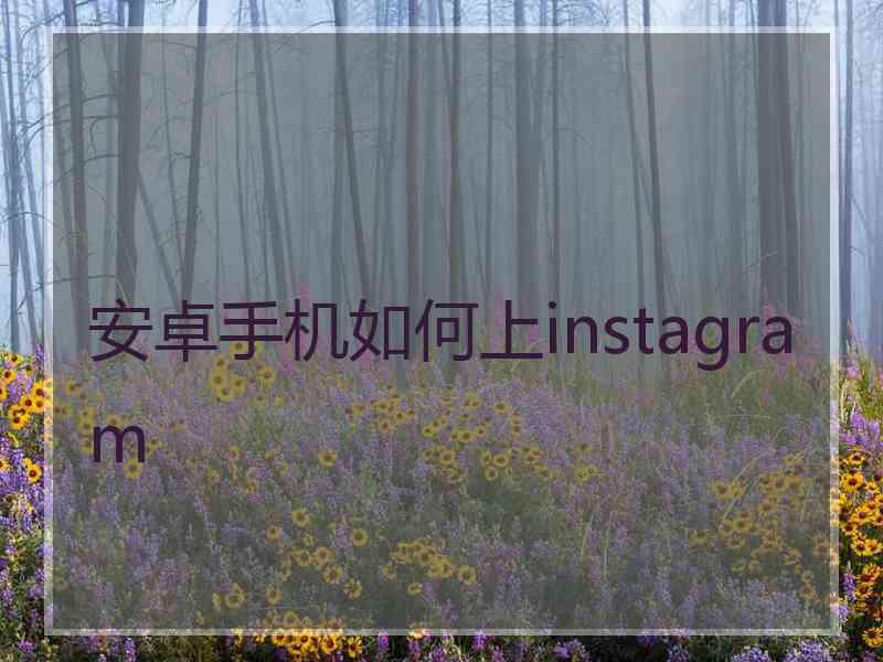 安卓手机如何上instagram