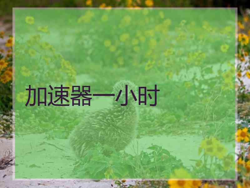 加速器一小时