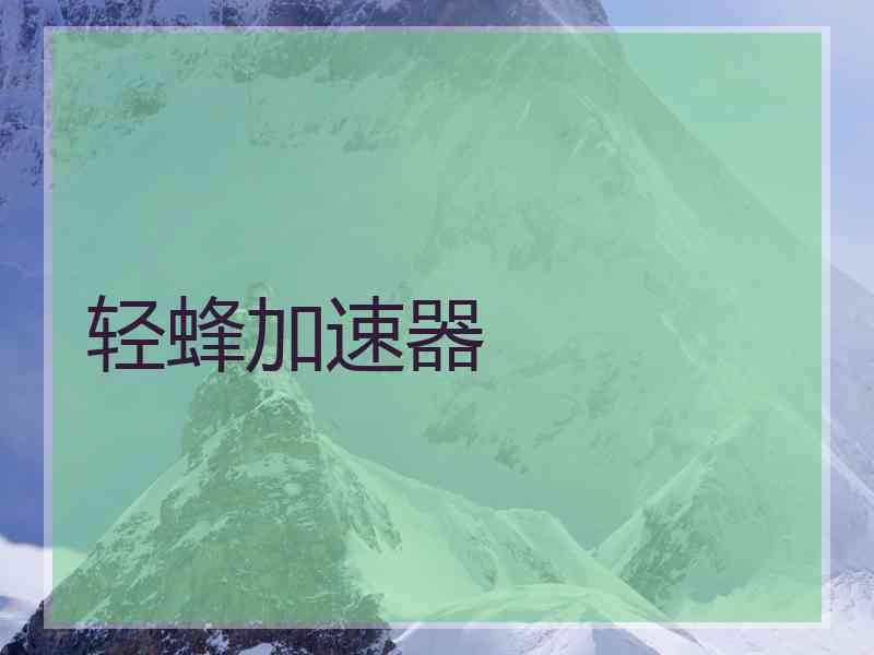 轻蜂加速器