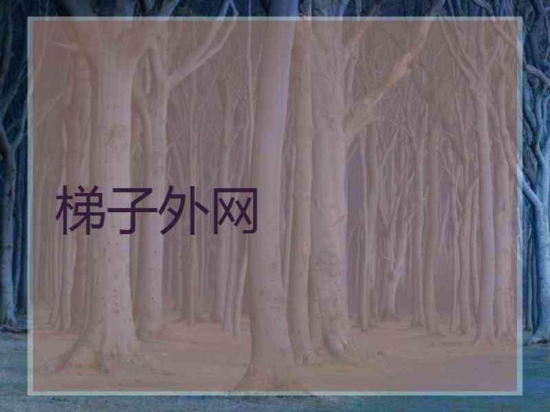 梯子外网