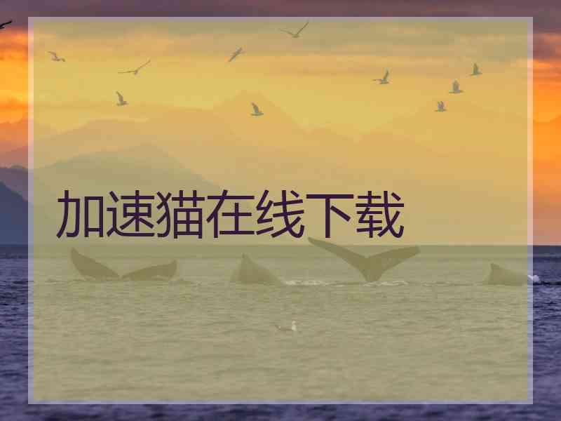 加速猫在线下载