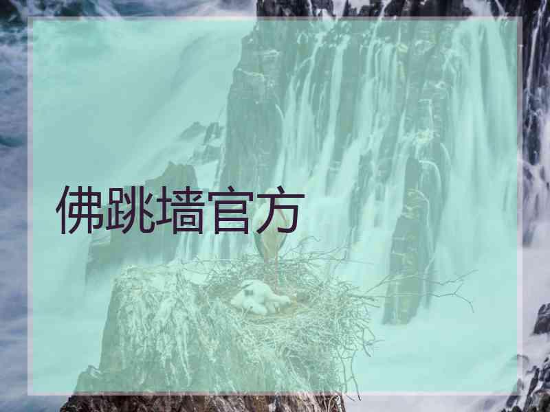 佛跳墙官方