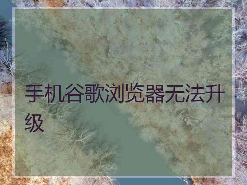 手机谷歌浏览器无法升级