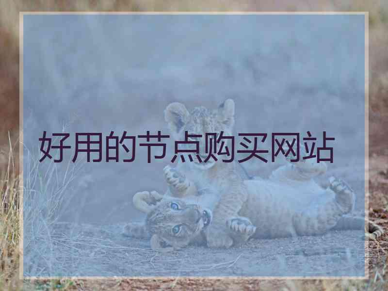 好用的节点购买网站