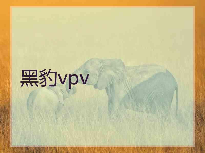 黑豹vpv