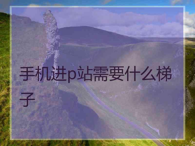 手机进p站需要什么梯子