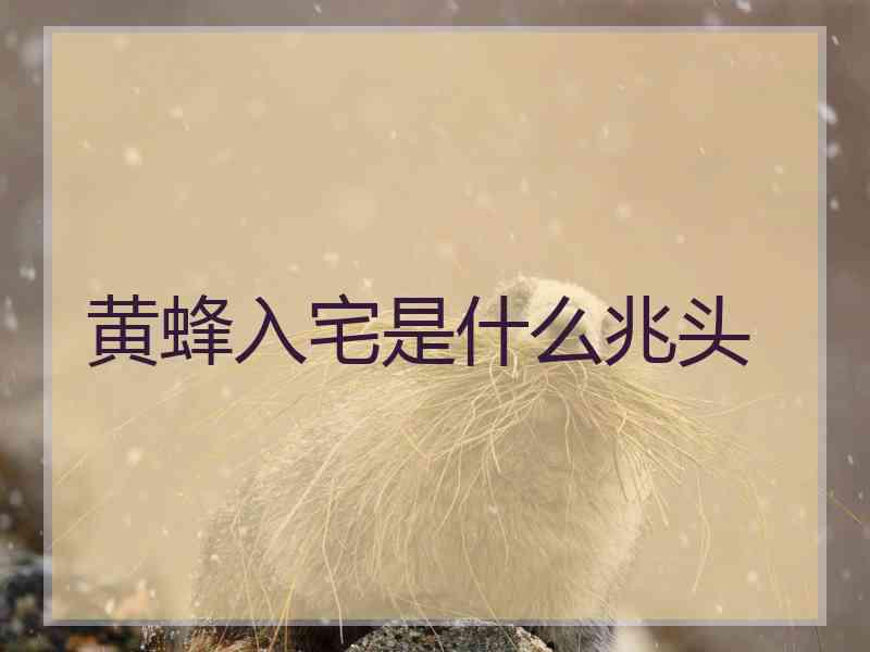 黄蜂入宅是什么兆头