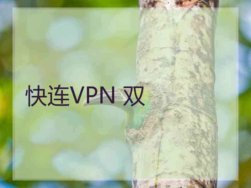 快连VPN 双