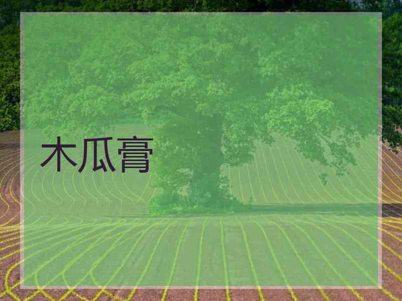 木瓜膏