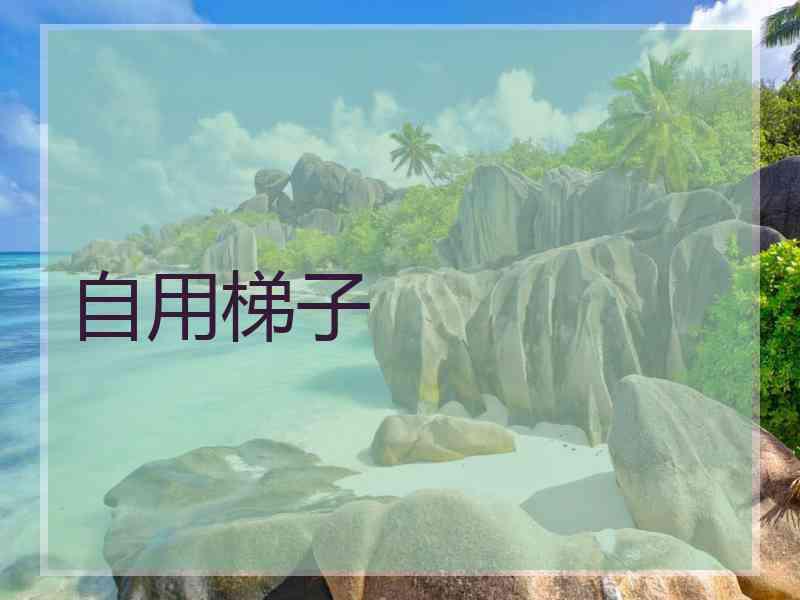 自用梯子