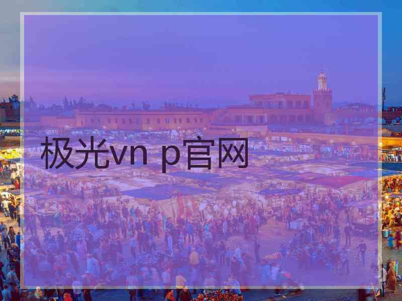 极光vn p官网