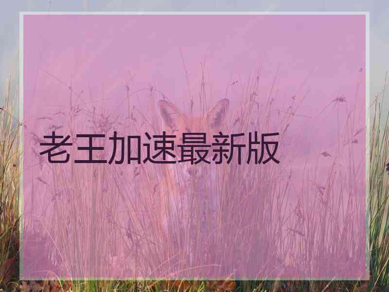 老王加速最新版