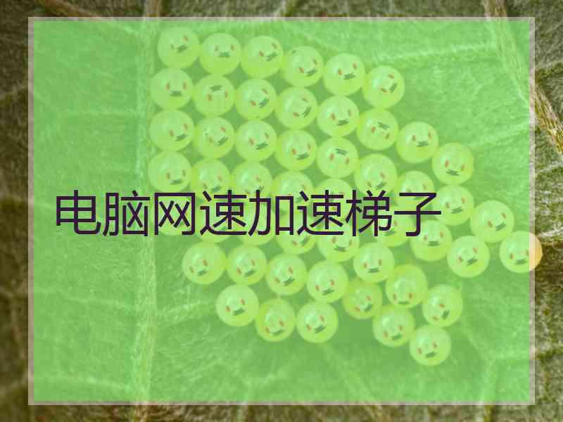 电脑网速加速梯子