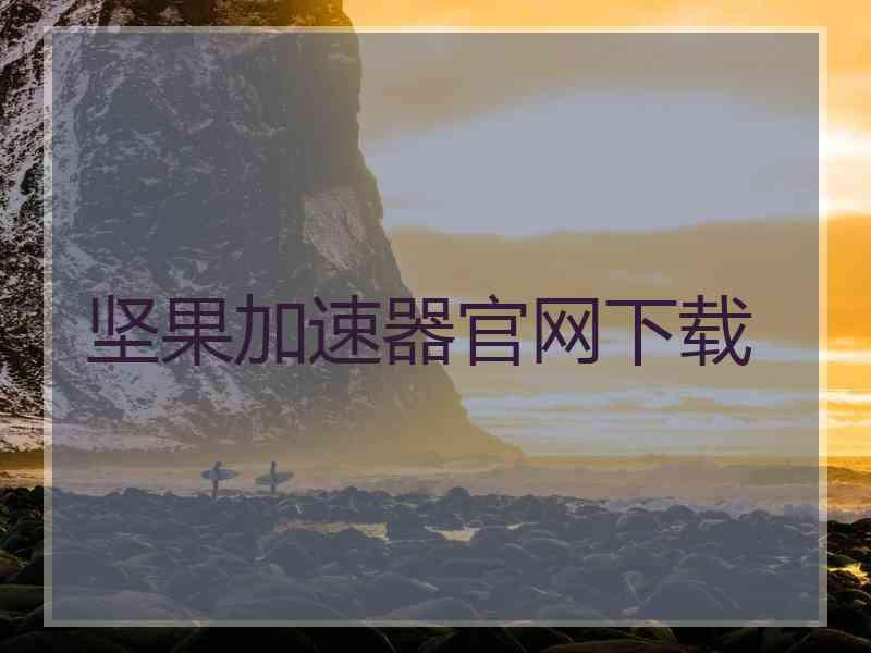 坚果加速器官网下载