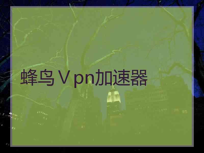 蜂鸟Ⅴpn加速器