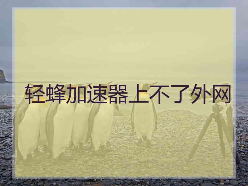 轻蜂加速器上不了外网