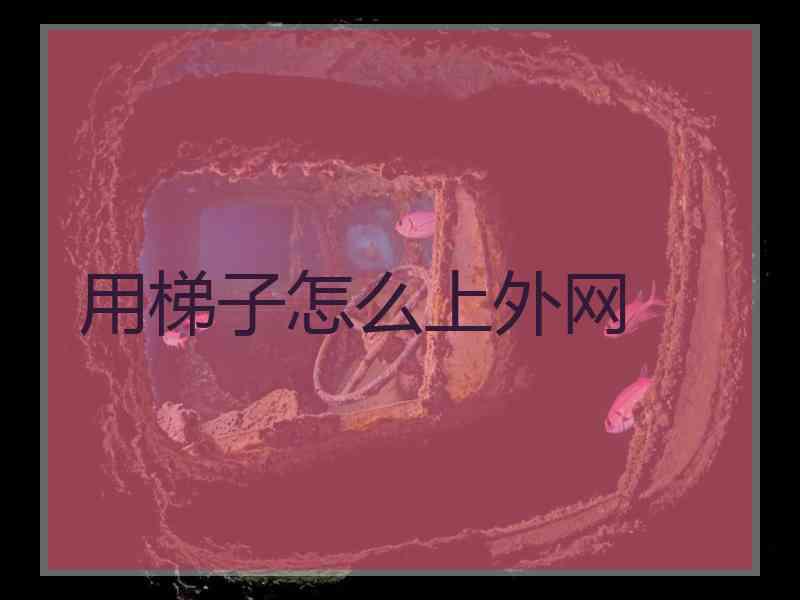 用梯子怎么上外网