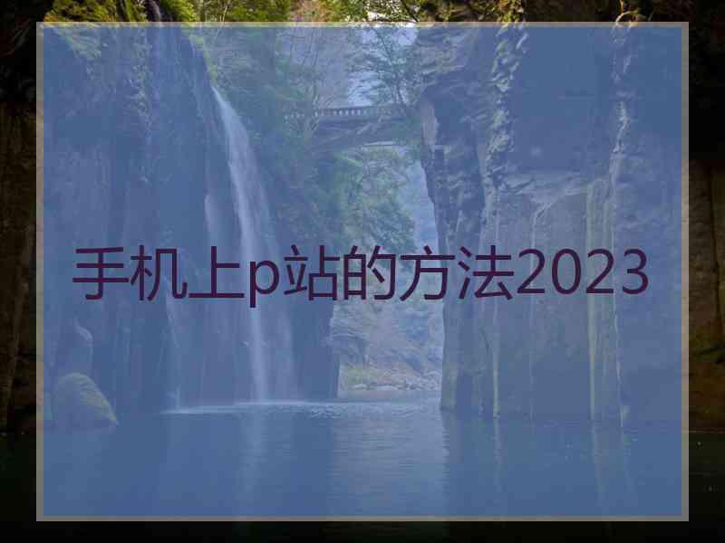手机上p站的方法2023