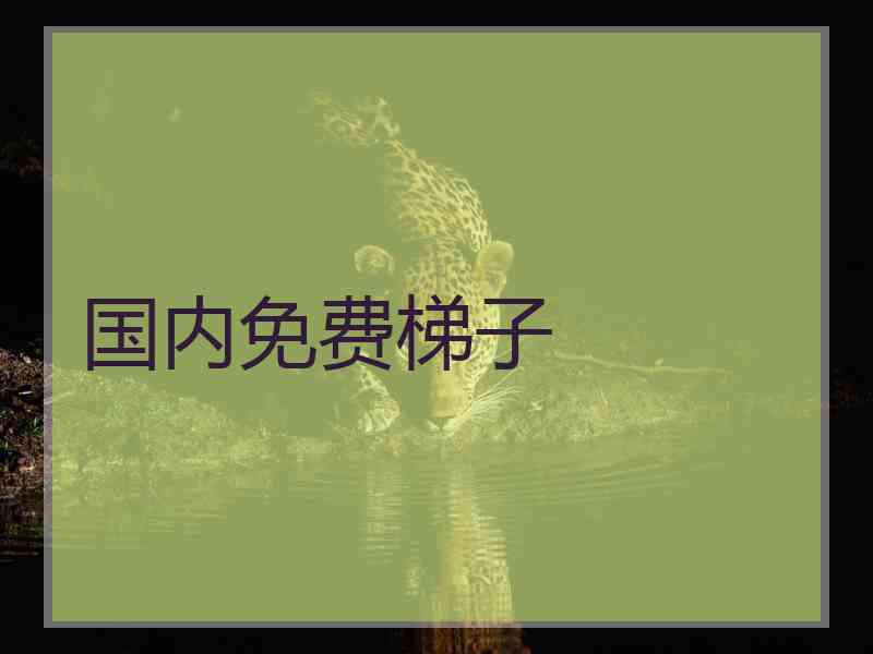 国内免费梯子