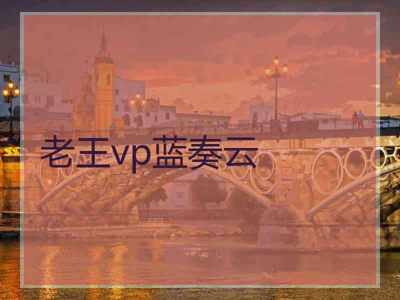 老王vp蓝奏云