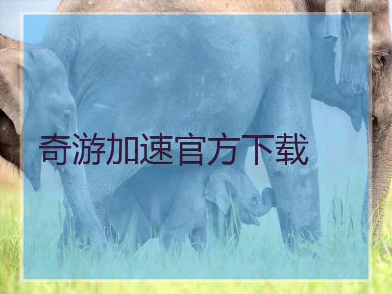 奇游加速官方下载