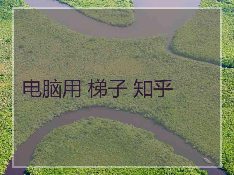 电脑用 梯子 知乎