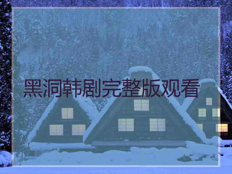 黑洞韩剧完整版观看