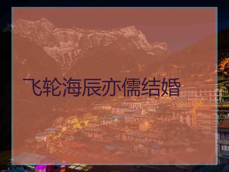飞轮海辰亦儒结婚