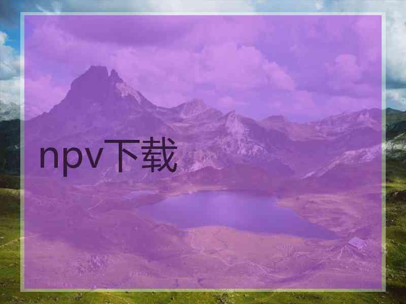 npv下载