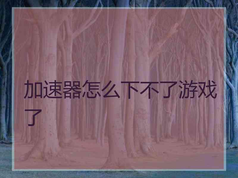 加速器怎么下不了游戏了