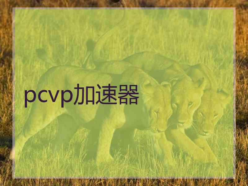 pcvp加速器