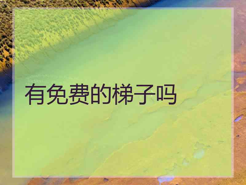 有免费的梯子吗